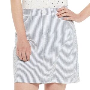 🐠 Croft & Barrow Blue and White Striped Mini Skirt